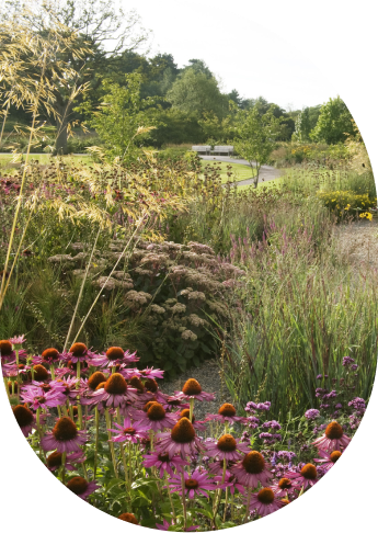 Фото ландшафта