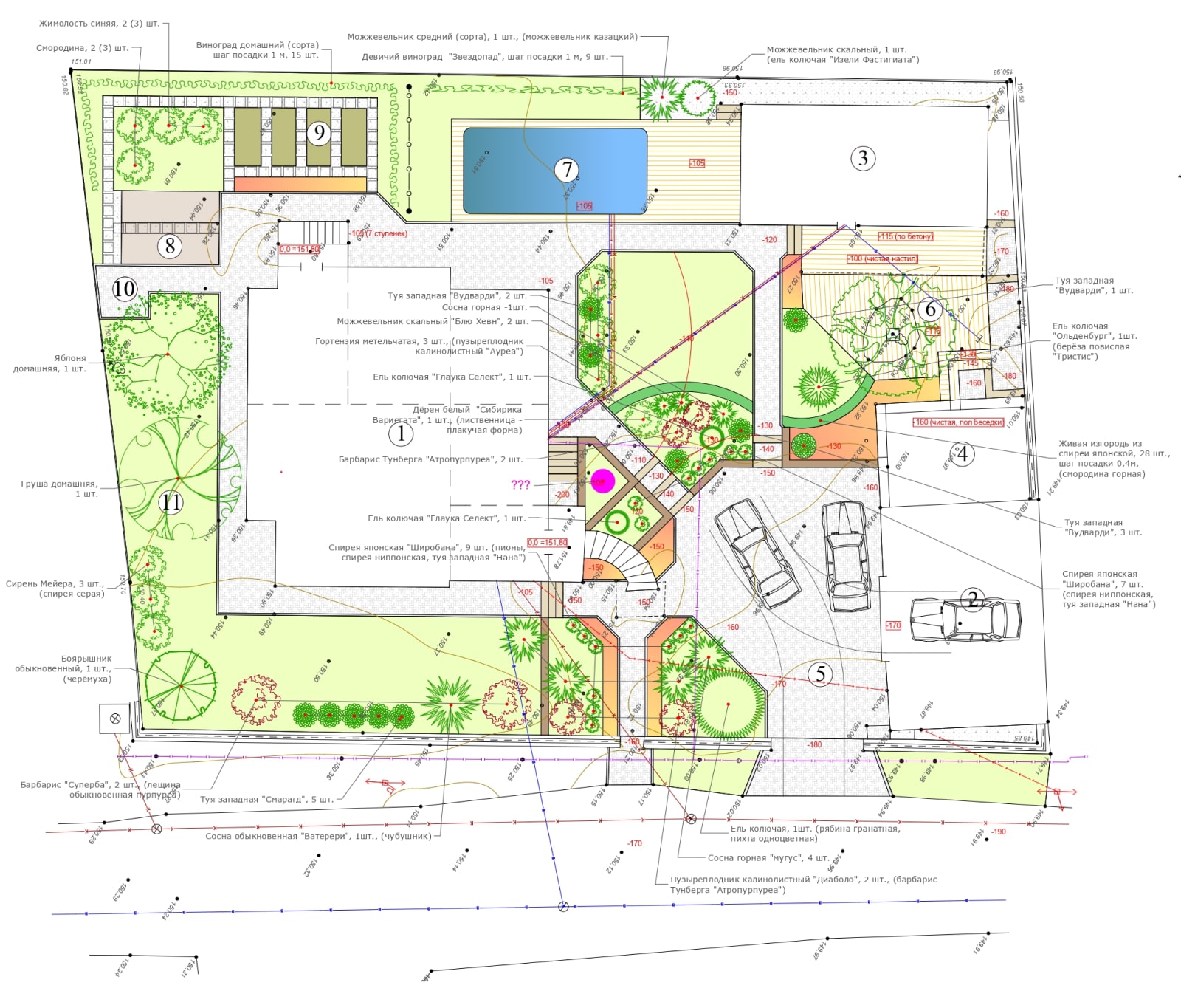 Работа по проекту